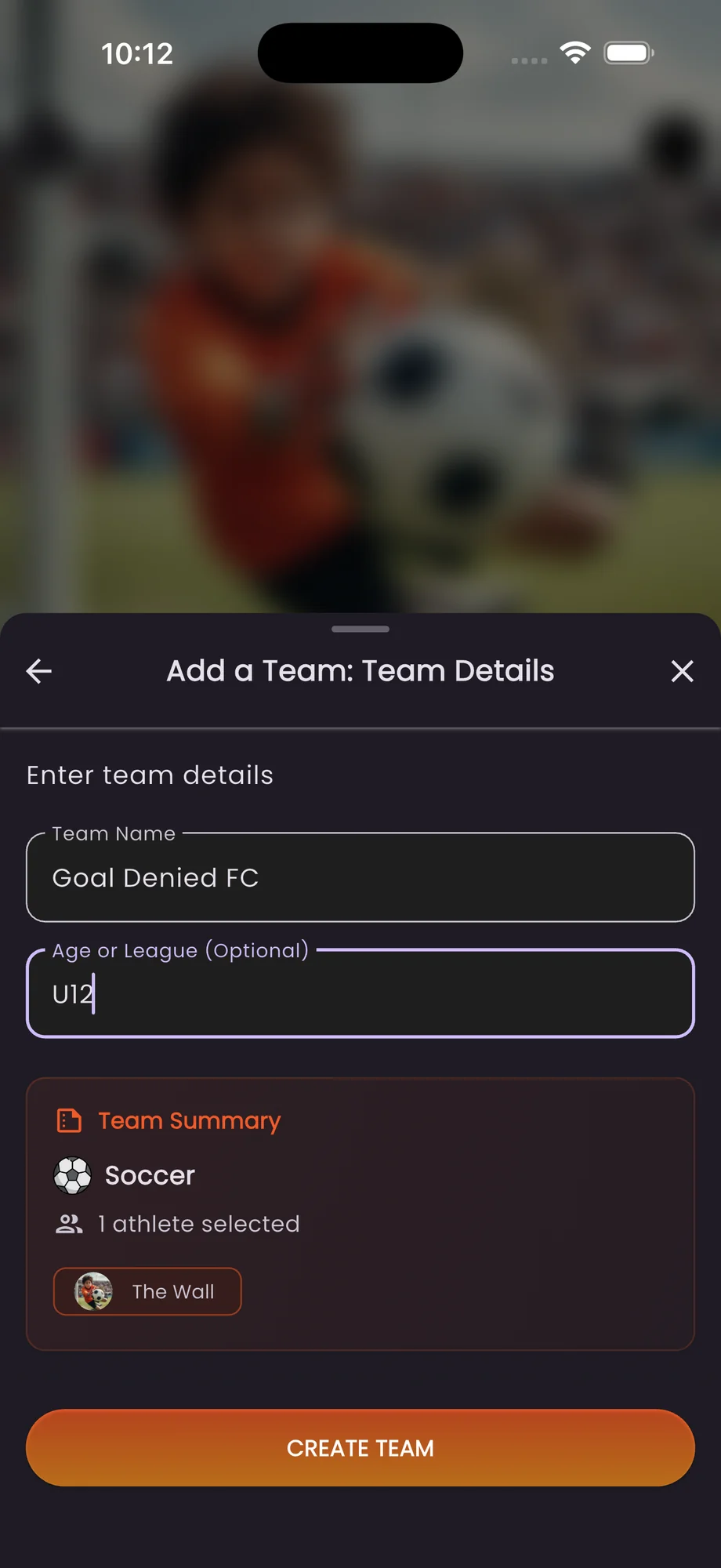 Team details